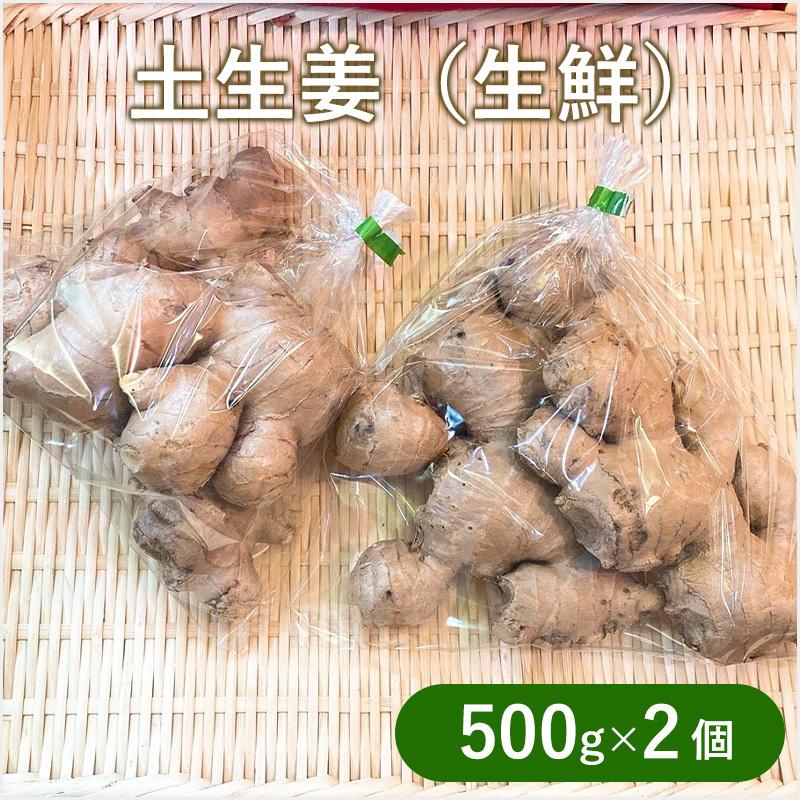 土生姜（生鮮）500ｇ×2個