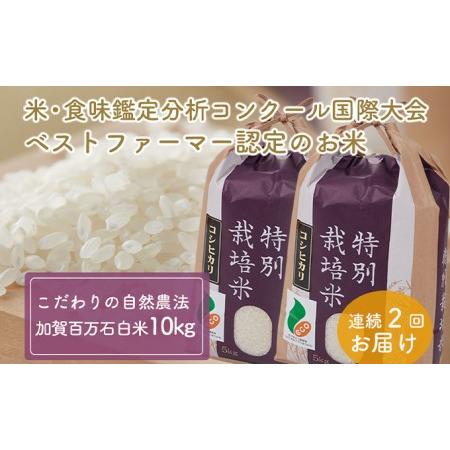 ふるさと納税 加賀百万石特別栽培米コシヒカリ「白米」10kg2ヶ月連続お届け 石川県能美市