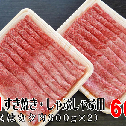 牛肉 飛騨牛 すき焼き しゃぶしゃぶ セット 赤身 モモ 又は カタ 600ｇ 黒毛和牛 Ａ5 美味しい お肉 牛 肉 和牛 すき焼き肉 すきやき すき焼肉 しゃぶしゃぶ肉 