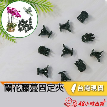 【小魚生活館台灣現貨】園藝夾藤蔓蘭花固定夾 蝴蝶蘭夾 嫁接植物夾小夾子 開立電子發票