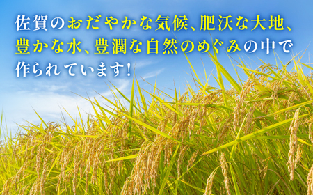 特A獲得！さがびより 無洗米 5kg 総計25kg 吉野ヶ里町 大塚米穀店 米 佐賀 ブランド 国産 ご飯 [FCW018]