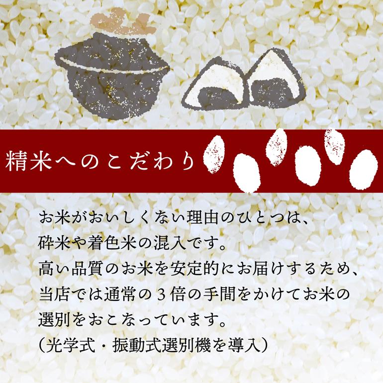 コシヒカリ 米 5kg 白米 丹波篠山産 送料無料 一宮精米 令和5年