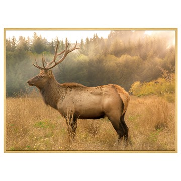 菠蘿選畫所 晨光下的麋鹿掛畫 (40 x 30cm 木色) - 北歐風