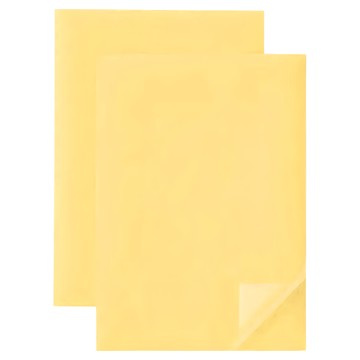 LOGOS 帳篷布維修透明魔術貼 PVC材質  4.8 x 21cm  2個