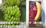 国産さぬきドリームバナナ〈香川産〉ギフトBOX5本セット