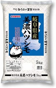  岐阜県産 白米 美濃ハツシモ 5kg 令和4年産