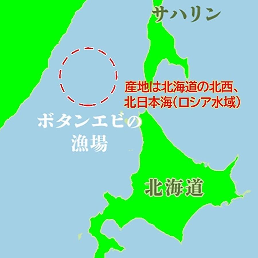 ボタンエビ ボタン海老 特大 牡丹海老  特大 えび 刺身用  500g 8尾前後