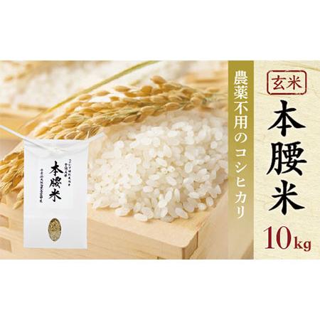 ふるさと納税 本腰米10kg 玄米 千葉県産コシヒカリ 農薬不使用 千葉県大網白里市