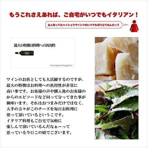 ザネッティ社 1kgブロック パルミジャーノ レッジャーノ 24ヶ月熟成DOP！ parmigiano reggiano cheese ｜ チーズ