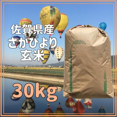 ふるさと納税 江北町 令和5年産 さがびより 玄米30kg