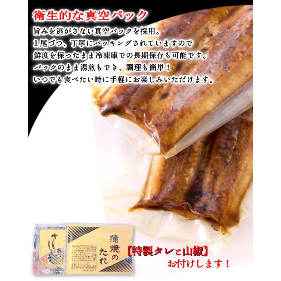 うなぎ 蒲焼き　250gの特大サイズ  ウナギ うなぎ ギフト　２尾購入で１尾おまけ付き　送料無料・うなぎ蒲焼・