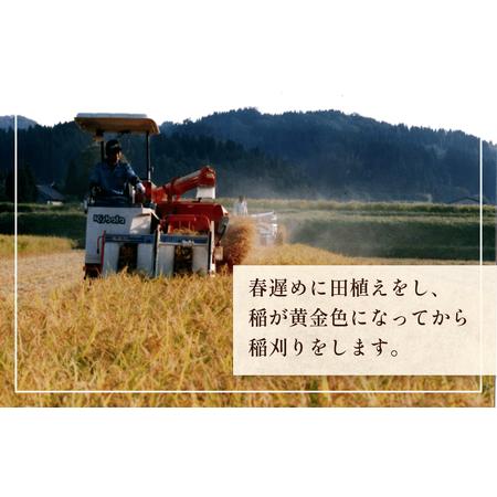 ふるさと納税 令和5年産 富山県産 コシヒカリ ひみの舞 10kg＜11月初旬以降順次発送＞ 富山県 氷見市 コシヒカリ 令和5年度 こしひかり 富山県氷見市