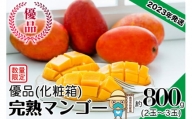 ＜優品＞完熟アップルマンゴー約800g（化粧箱）2玉～3玉