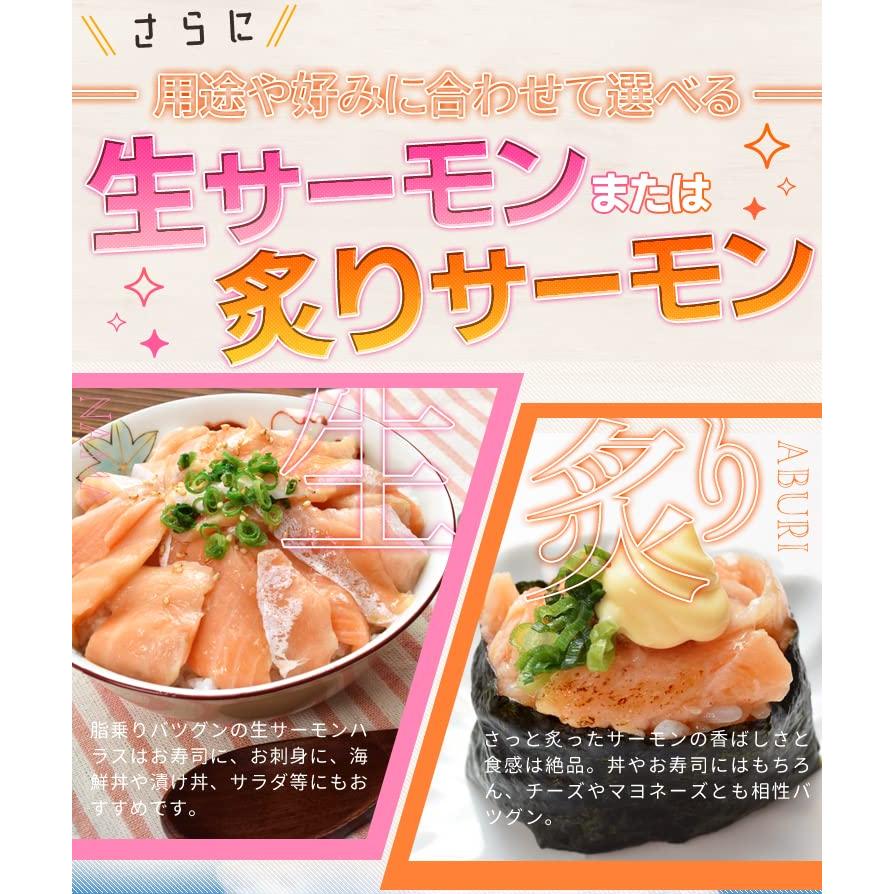 サーモン ハラス 切り落とし 刺身用 炙りサーモン１ｋｇ（５００ｇ×２パック）サイズ不揃い お値打ち品 トロ 生食 アトランティックサーモン 冷凍