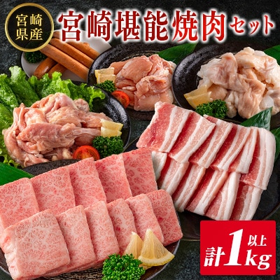 ◇宮崎県産のお肉を堪能!! 老舗焼肉店の焼肉セット(タレ・塩胡椒付き )計1kg以上