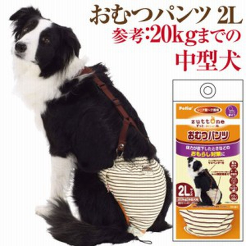 犬用 おむつパンツ サスペンダー付き 2l 老犬介護 生理 サニタリー パンツ ペティオ 通販 Lineポイント最大1 0 Get Lineショッピング