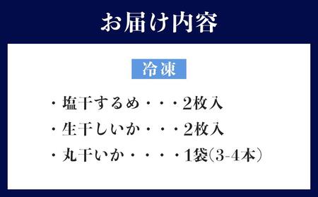 佐渡島いか専門店　いかづくしセット1