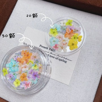 🔥甄選好物🔥 美甲日系blc莫奈油畫乾花瓣花朵翠珠小碎花小清新五瓣花指甲飾品