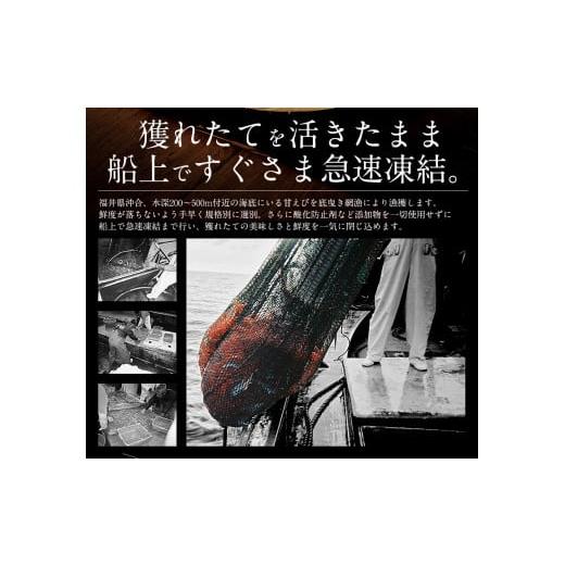 ふるさと納税 福井県 敦賀市 [053-a027] 福井県敦賀産甘えび・子持ちE大サイズ約1kg(約60尾)【 塩荘 しおそう 敦賀 甘エビ えび エビ 海老 冷凍…