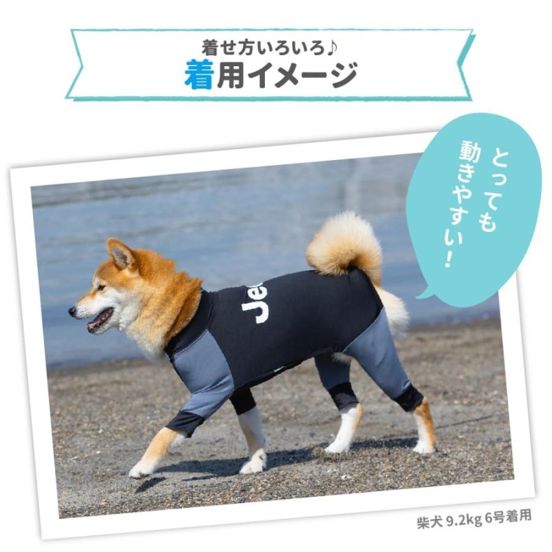 犬 販売 水遊び 服