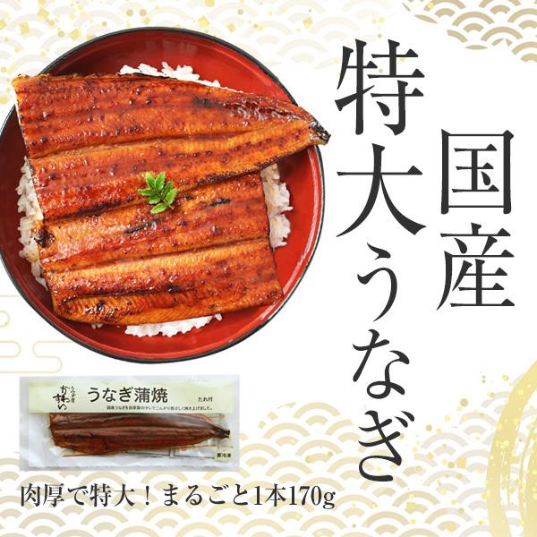 うなぎ 蒲焼き 国産 特大サイズ170g 3尾 ウナギ 鰻 送料無料