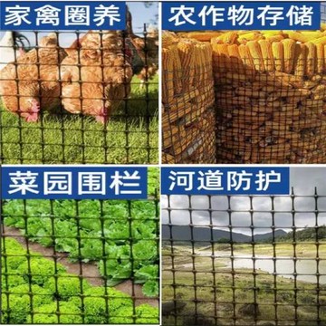 塑料網格防護網圈玉米網小孔養雞鴨圍欄護欄網隔離養殖網土工格柵