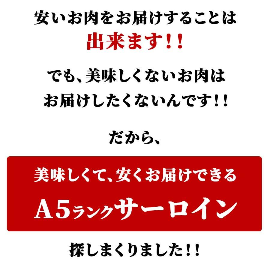 お歳暮 御歳暮 肉 焼肉 牛肉 霜降り 黒毛和牛 A5 ブロック 塊 サーロイン 800g 冷凍 プレゼント ギフト 贈り物