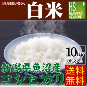 令和4年産 特別栽培米 白米 新潟県 魚沼産 コシヒカリ10kg(5kg×2袋) 送料無料 北海道沖縄へは別途送料760円