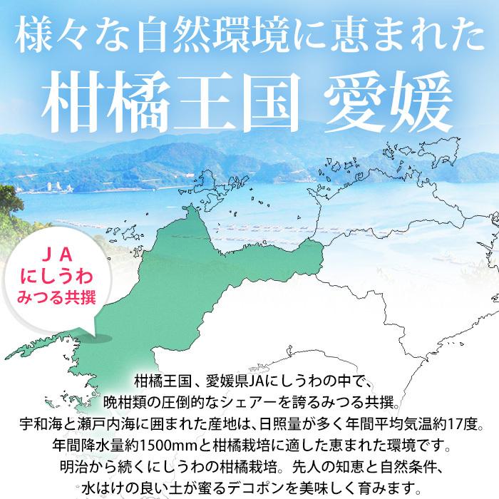 正規品・特秀品です！ みかん 愛媛県産 デコポン 特秀品 約5kg 2Lサイズ 20玉 蜜る 糖度14度以上保証