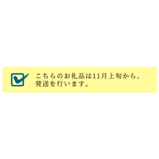 ふるさと納税 鹿児島県 いちき串木野市 SA-151鹿児島紀行ギフト ≪H-430R≫ハム・焼豚など5種詰合せセット！