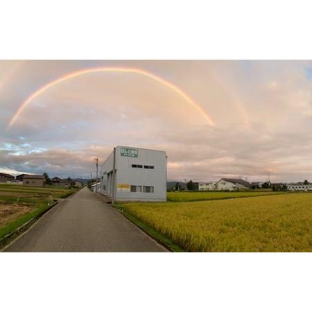 ふるさと納税 有機米こしひかり「水の精」白米5kg×2個 石川県能美市