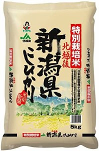 新潟県北越後産 特別栽培米白米 こしひかり 5kg 令和4年産