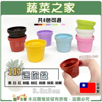 【蔬菜之家滿額免運】1吋迷你盆 彩盆(共8色可選)多肉盆 馬卡龍色 彩盆 多肉植物盆 多肉盆 觀葉盆 花盆 一吋盆多肉