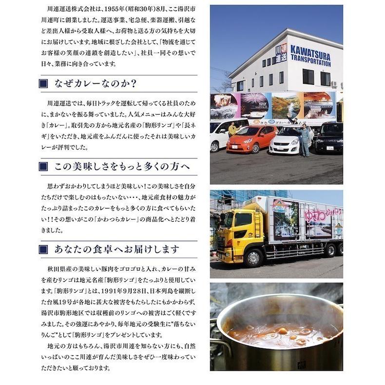 川連運送 かわつらカレー ビーフカレー 中辛 ポークカレー 中辛 トマトプラス ３袋セット メール便でお届けします