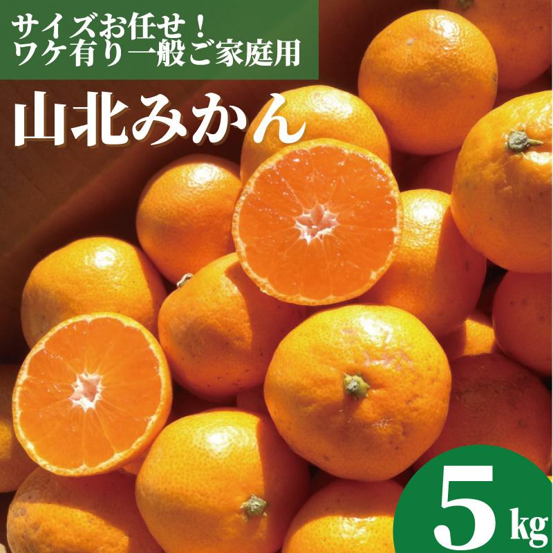 山北みかん ５kg高知のミカン ご家庭用蜜柑