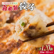 自家製餃子計120個(10個×12パック)