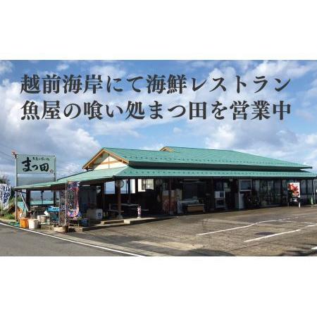 ふるさと納税 越前産 ほたるいか 素干し 50gｘ5パック [A-007004] 福井県福井市