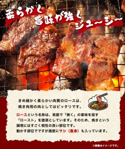 「熊野牛」特選ロース焼肉800g 4等級以上 株式会社松源《90日以内に順次出荷(土日祝除く)》和歌山県 紀の川市