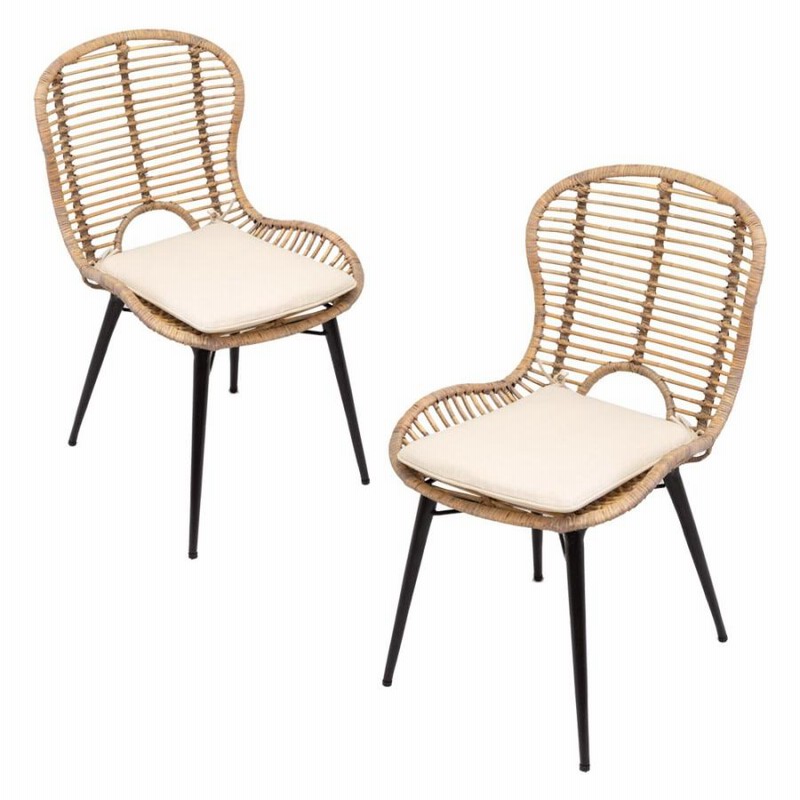 チェア イス ラタン 籐 2脚セット シンプル アイアン 一人掛け