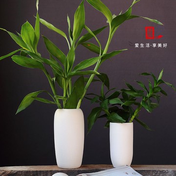 奇異創意小清新客廳裝飾擺件陶瓷干花插歐式現代簡約粗陶水培花瓶