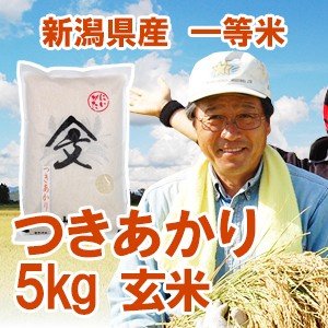 令和5年産新米 新潟県産 「つきあかり」 玄米5kg