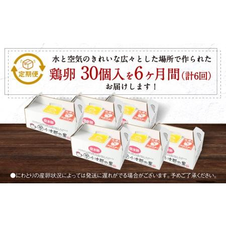 ふるさと納税 鶏卵 30ヶ入×6回 合計180個 たまご 福岡県産 福岡県嘉麻市