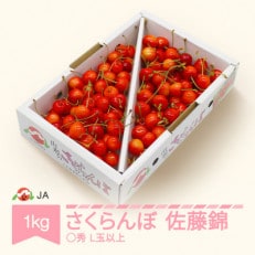 ≪JAみちのく村山産≫さくらんぼ(佐藤錦)L玉以上　1kg