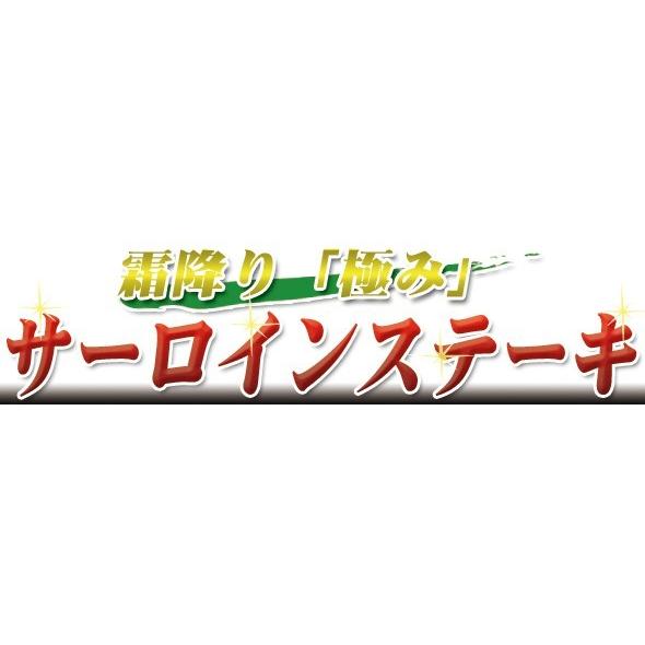 最高級 黒毛和牛 サーロインステーキ 180g×2枚 セット 阿波牛の藤原 極み サーロイン ステーキ 肉