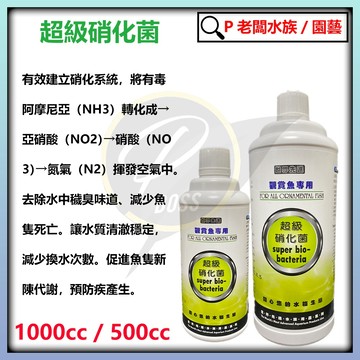 P老闆水族~荷蘭 世界先進 硝化菌 500ml 1000ml 淡水 海水 消化菌 水穩 開缸必備 硝化菌 淨水培菌