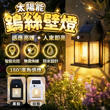台灣出貨🔥太陽能復古鎢絲壁燈 太陽能燈 太陽能草坪燈 草坪燈 太陽能戶外燈 太陽能感應燈 防水燈 庭院燈 草坪插燈