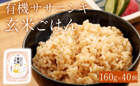 令和5年産 有機ササニシキ玄米ごはん 160g × 40個