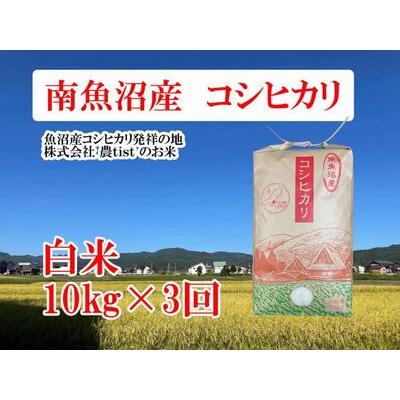 ふるさと納税  コシヒカリ 白米10kg×３回 新潟県南魚沼市