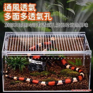 🔥隔日達🔥爬寵壓克力飼養箱 守宮飼養盒 爬蟲飼養箱 壓克力飼養盒 角蛙飼養盒 一體式 磁吸式 飼養盒 飼養箱 寵物