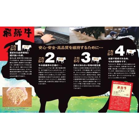 ふるさと納税 海津市産焼肉赤身・ロース盛り合わせオリジナルカット  岐阜県海津市